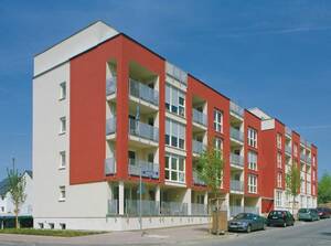 Preungesheim Ameisen